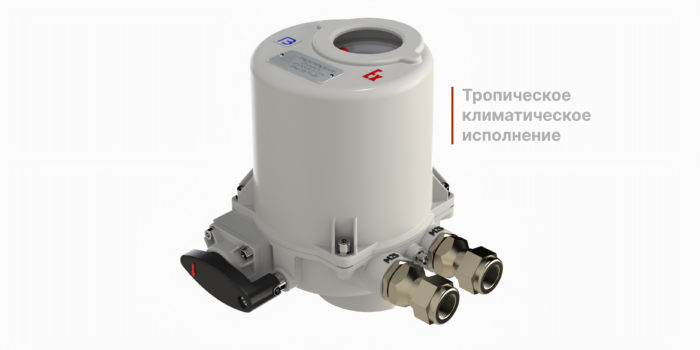 Фото товара: ОФВ-25-80/5,5-21(К) #2